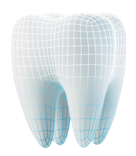 Стоматология в Бишкеке